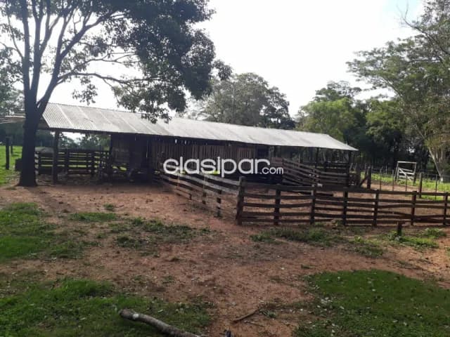 Campo Agrícola/Ganadero en Coronel Oviedo - 160 Ha — foto 4