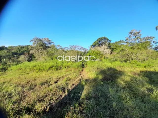 Terreno Rural en Carmen del Paraná - 10 Ha — foto 2