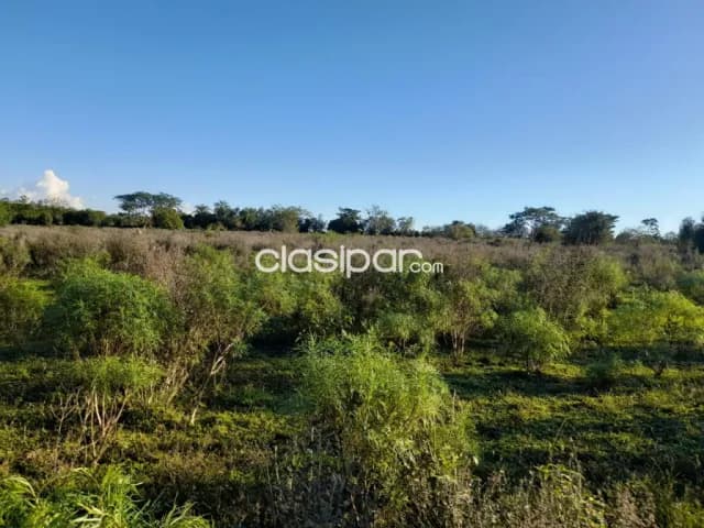 Terreno Rural en Carmen del Paraná - 10 Ha — foto 3