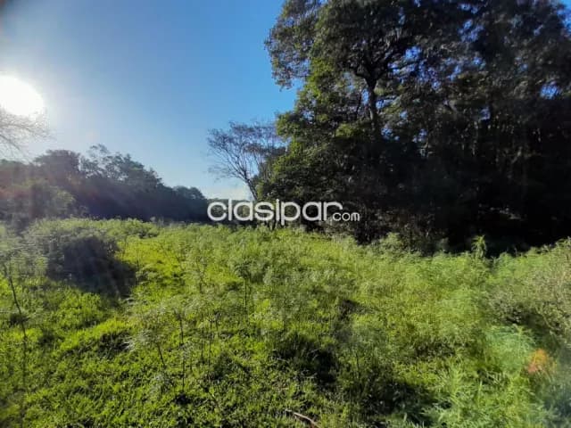 Terreno Rural en Carmen del Paraná - 10 Ha — foto 4