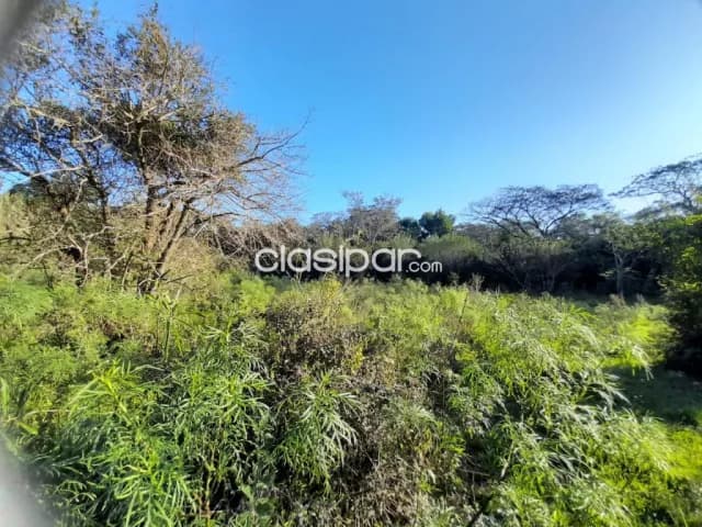 Terreno Rural en Carmen del Paraná - 10 Ha — foto 5
