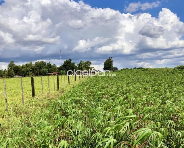 Terreno Agrícola/Ganadero en Itapua Poty - 10 Ha