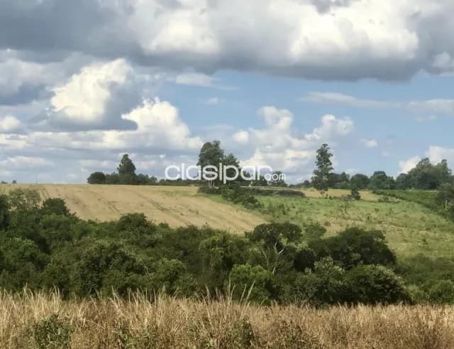 Terreno Agrícola/Ganadero en Itapua Poty - 10 Ha — foto 3