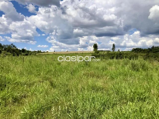 Terreno Agrícola/Ganadero en Itapua Poty - 10 Ha — foto 4