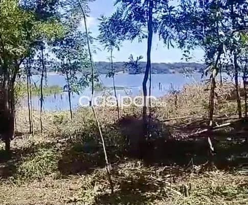 Terreno Rural en Nueva Alborada costa al Río Paraná - 2 Ha — foto 4