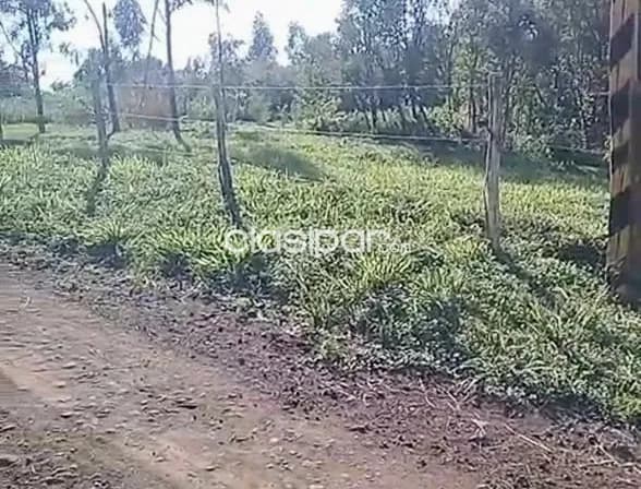 Terreno Rural en Nueva Alborada costa al Río Paraná - 2 Ha — foto 5