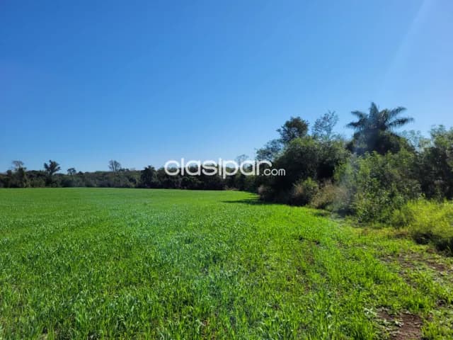 1 Hectarea y Media En Santa Rita Condominio Villa Country — foto 4
