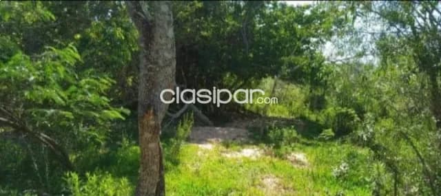 Hermoso inmueble de 3.7 hectareas en la ciudad de altos — foto 4
