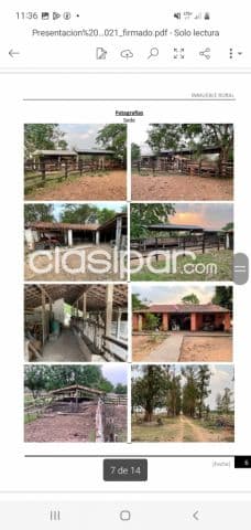 Pirayu – paraguarí: 480 has, estancia formada, inmejorable productividad, plantaciones, foto 1