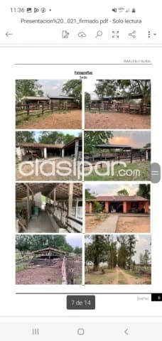Pirayu – paraguarí: 480 has, estancia formada, inmejorable productividad, plantaciones, foto 2