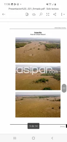 Pirayu – paraguarí: 480 has, estancia formada, inmejorable productividad, plantaciones, foto 4