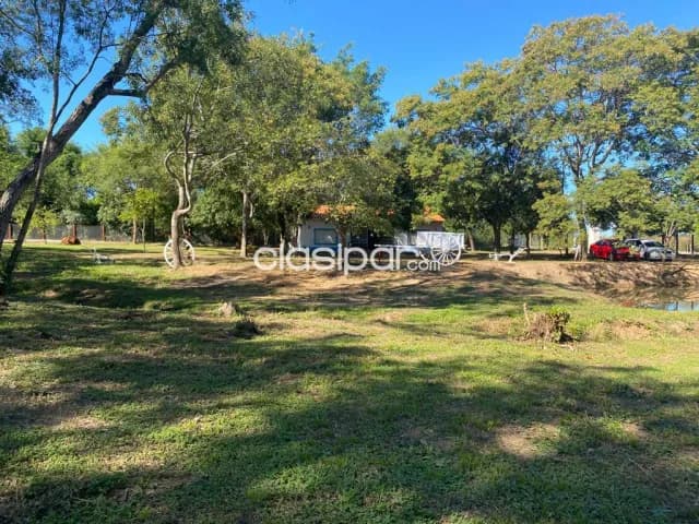 Casa de campo-Venta-PY Cordillera Tobatí Ruta Ciudad Eusebio Ayala, foto 4