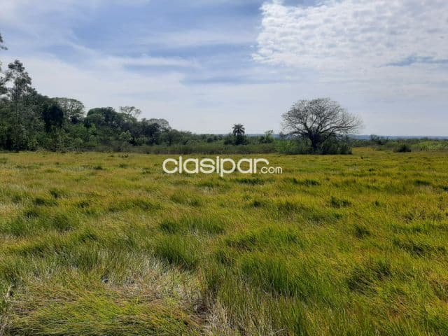 Tarumandy, Luque, s/ asfalto: 23 has, campo abierto, p/ proyección inmobiliaria, foto 1