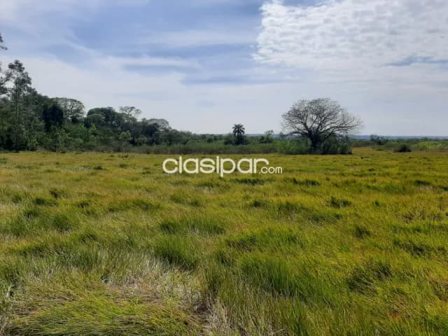 Tarumandy, Luque, s/ asfalto: 23 has, campo abierto, p/ proyección inmobiliaria, foto 2