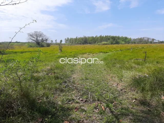 Tarumandy, Luque, s/ asfalto: 23 has, campo abierto, p/ proyección inmobiliaria, foto 3