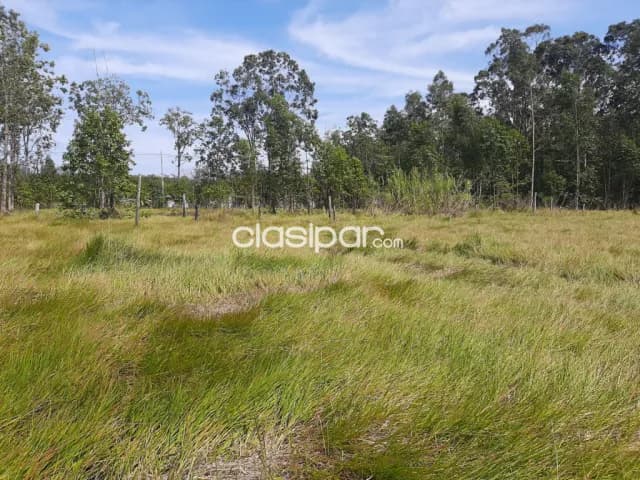 Tarumandy, Luque, s/ asfalto: 23 has, campo abierto, p/ proyección inmobiliaria, foto 4