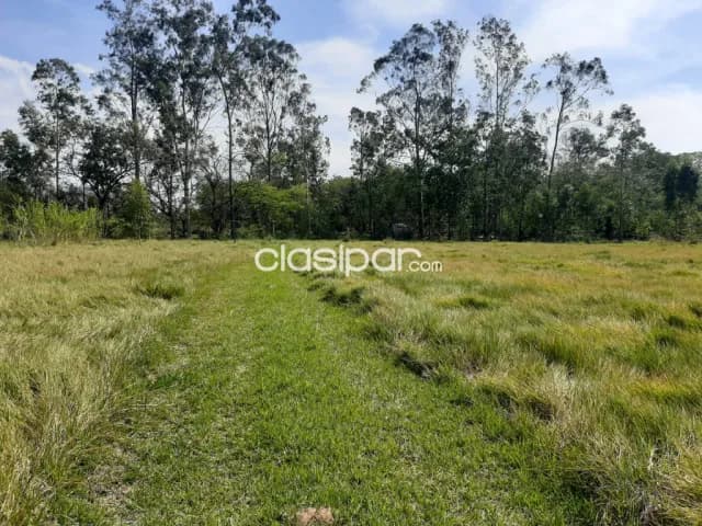 Tarumandy, Luque, s/ asfalto: 23 has, campo abierto, p/ proyección inmobiliaria, foto 5