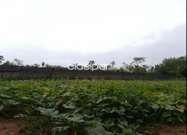 Se vende 6 hectáreas con 3.457 metros en Ciudad de Altos, Departamento Cordillera