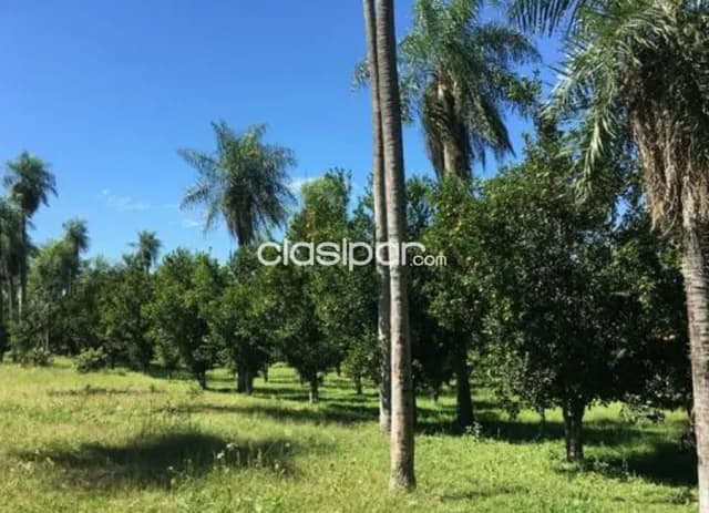 Se vende 6 hectáreas con 3.457 metros en Ciudad de Altos, Departamento Cordillera, foto 3