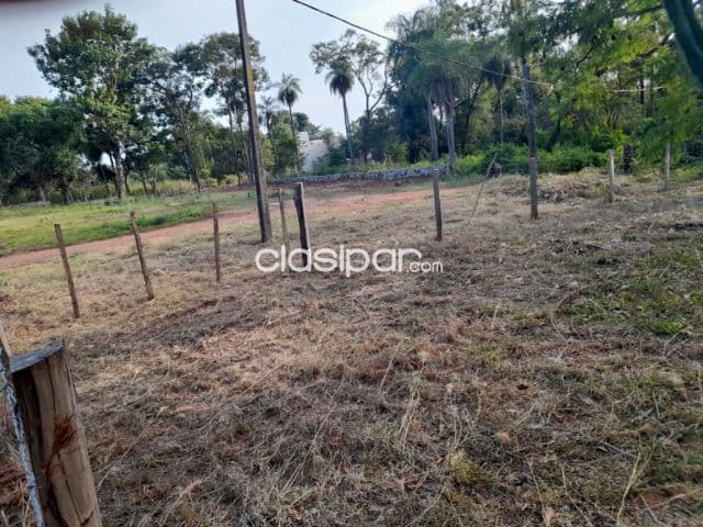 San Bernardino zona ciervo cua