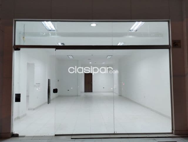 Locales comerciales zona Trinidad