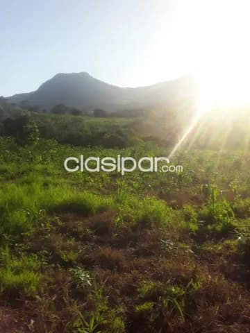 Santa cecilia, col. Independencia, guaira: Inigualables 10 has s/ ruta, nuevo precio!! — foto 3