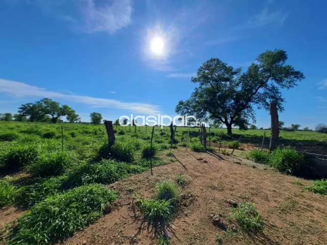 Campo Agrícola/Ganadero en Neuland - 170 Ha, foto 3