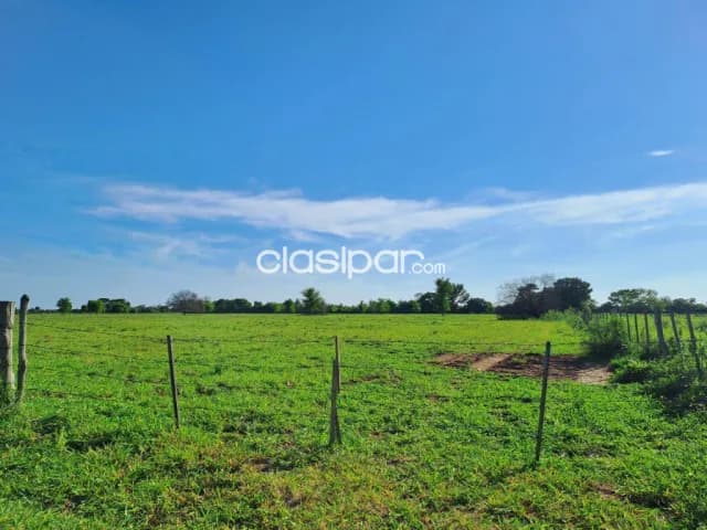 Campo Agrícola/Ganadero en Neuland - 170 Ha, foto 4