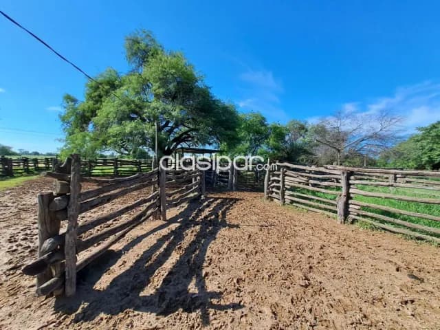 Campo Agrícola/Ganadero en Neuland - 170 Ha, foto 5
