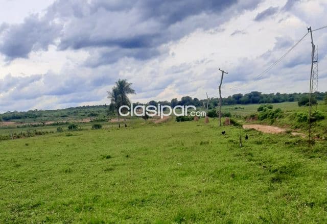 Campo Agrícola/Ganadero en Yhu sobre Ruta - 200 Ha