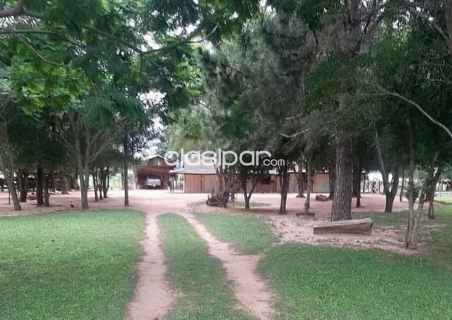 Campo Agrícola/Ganadero en Yhu sobre Ruta - 200 Ha — foto 5