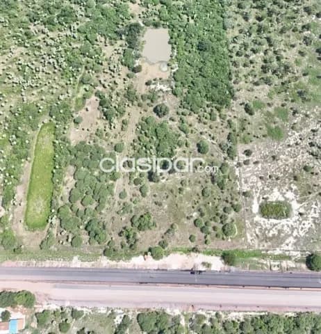 Terreno Rural en Falcón sobre la Transchaco - 10 Ha, foto 2
