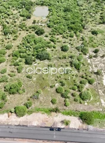Terreno Rural en Falcón sobre la Transchaco - 10 Ha, foto 3