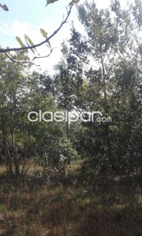 Oferta de terreno de 12 ha.en Nueva Colombia