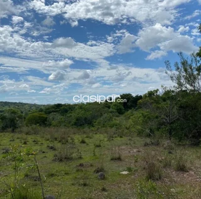 Oferta de terreno de 12 ha.en Nueva Colombia — foto 3