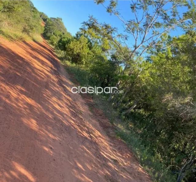 Oferta de terreno de 12 ha.en Nueva Colombia — foto 4