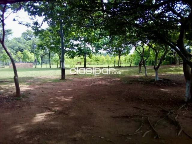 Granja Agrícola/Ganadera en Quiindy - 10 Ha, foto 4