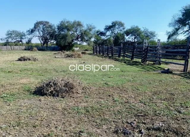 Campo Ganadero en Cadete Pando - 509 Ha, foto 3