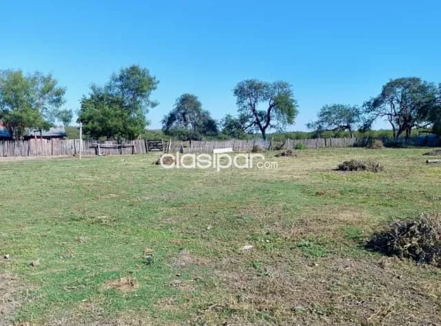 Campo Ganadero en Cadete Pando - 509 Ha, foto 4