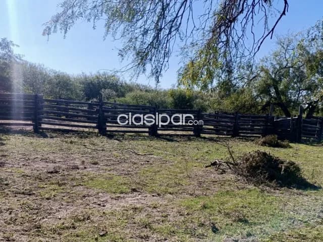 Campo Ganadero en Cadete Pando - 509 Ha, foto 5