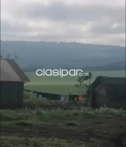 Itapua, prox. Frutika: 443 has mecanizadas, inmejorable rendimiento, categoria agricola — foto 2