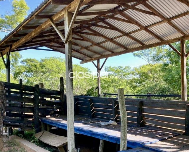 Granja en Sapucai - 180 Ha