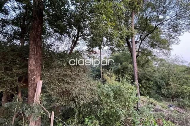 Terreno ideal en Luque, foto 4
