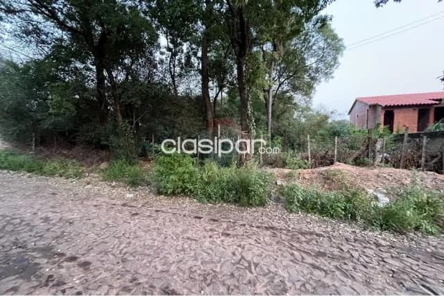 Terreno ideal en Luque, foto 5