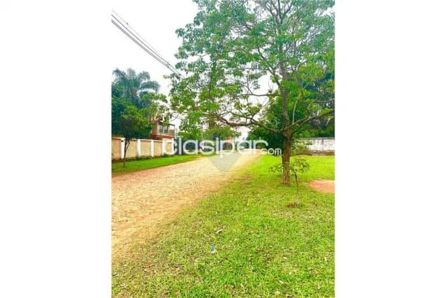 💥 terreno en la zona mas cotizada de Luque, laurelty💯 — foto 2