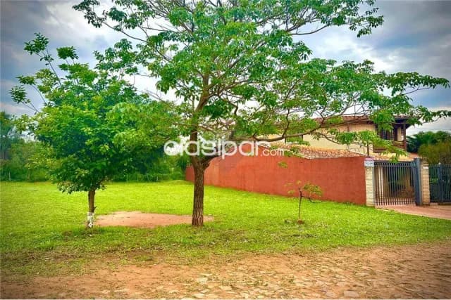 💥 terreno en la zona mas cotizada de Luque, laurelty💯 — foto 5