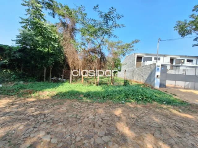 Terreno en Luque loma merlo cod 4355 — foto 3