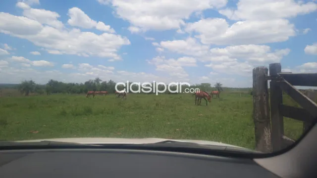 Campo ganadero en paraguari - quiindy cod 4367 — foto 3