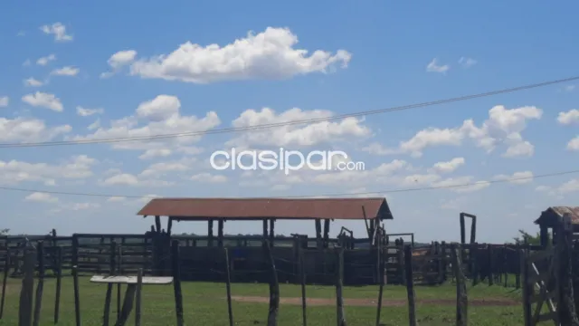 Campo ganadero en paraguari - quiindy cod 4367 — foto 4