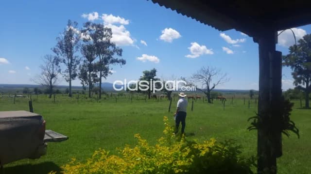 Campo ganadero en paraguari - quiindy cod 4367 — foto 5